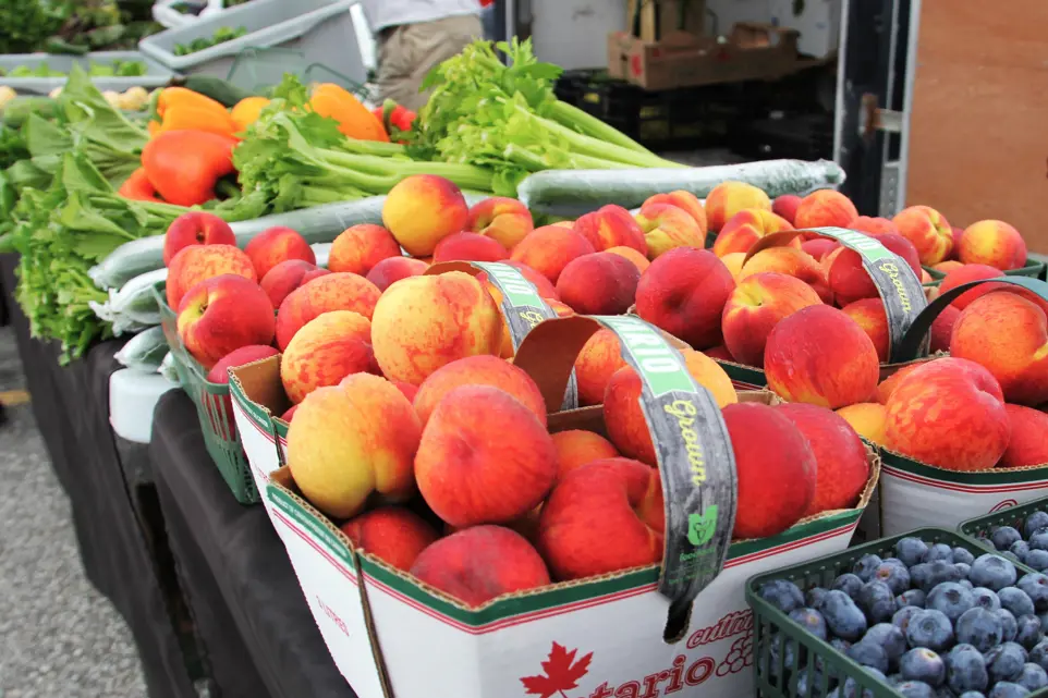 This is a photo of fresh local grown peaches